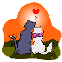 Love Cats