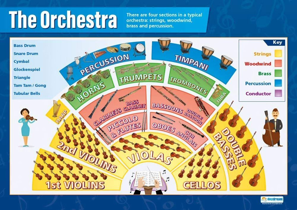 Typical orchestra layout